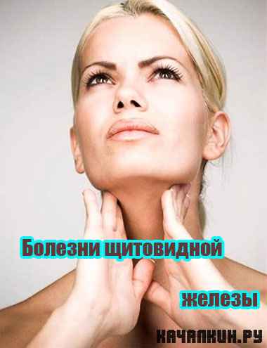 ������� ���������� ������ (2011) SATRip