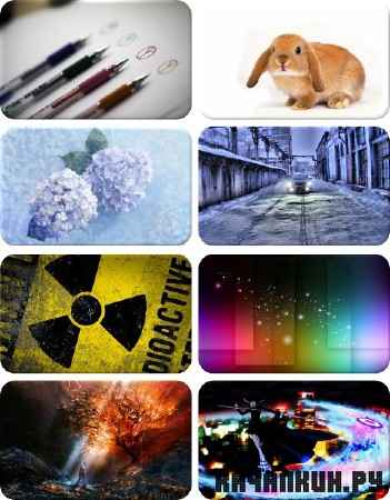 Gorgeous Wallpapers for PC -      - Pack 651