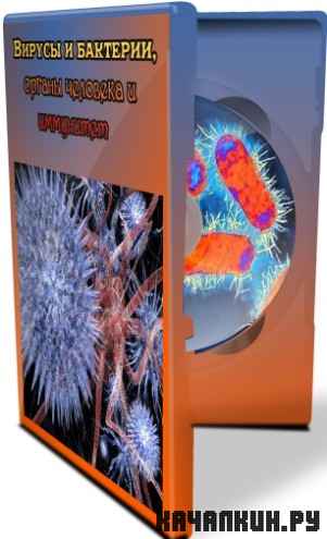 ������ � ��������, ������ �������� � ��������� (2010) SATRip