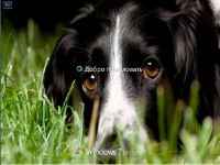 Windows 7 Ultimate SP1 x64 VolgaSoft v 2.7 (RUS/2012�)