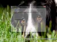 Windows 7 Ultimate SP1 x64 VolgaSoft v 2.7 (RUS/2012�)