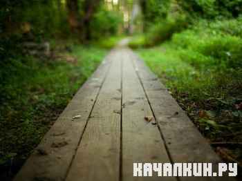 Selection HD Desktop Wallpapers #1