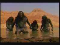 Sepultura - 15 ������ (1990-2010)