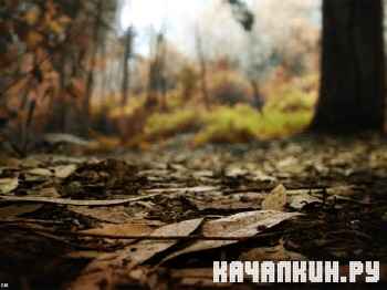 Selection HD Desktop Wallpapers #3