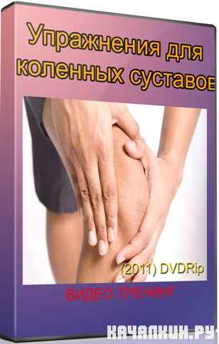 ���������� ��� �������� �������� (2011) DVDRip