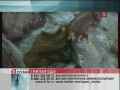 �������� ������. ������ ���! (19.07.2012) IPTVRip