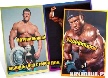 ����������� �����������: ����� ��� ��������� (2012) SATRip