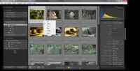 �������� Adobe Photoshop Lightroom (���������)