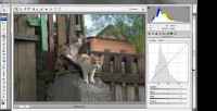 �������� Adobe Photoshop Lightroom (���������)