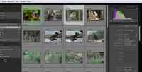 �������� Adobe Photoshop Lightroom (���������)