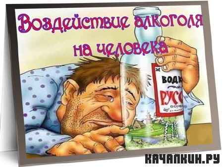 ����������� �������� �� �������� (2011) SATRip