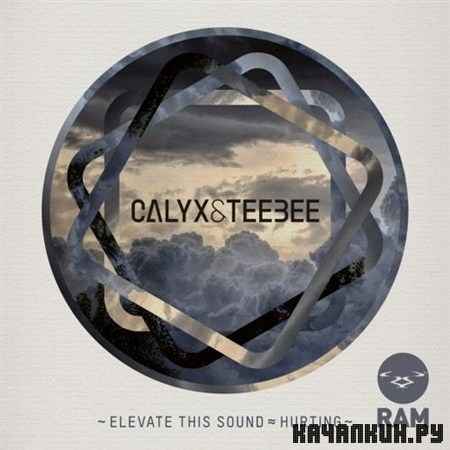 Calyx & Teebee - Elevate This Sound / Hurting (2012)