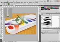 Adobe Photoshop CS5.   ()