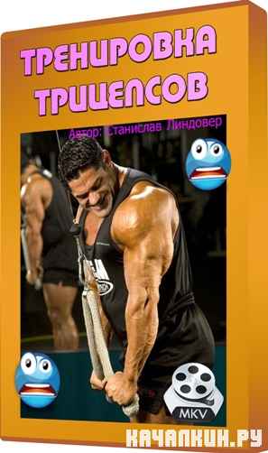 ���������� ��������� (2012) DVDRip