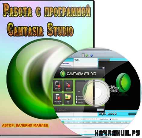 ������ � ���������� Camtasia Studio (2012) DVDRip