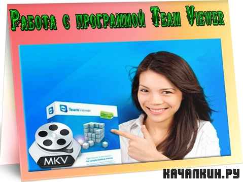 ������ � ���������� Team Viewer (2011) DVDRip