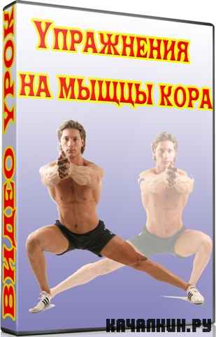 ���������� �� ����� ���� (2012) DVDRip