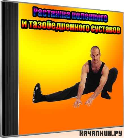 �������� ��������� � �������������� �������� (2012) DVDRip