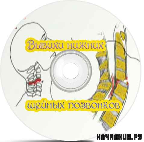 ������ ������ ������ ��������� (2011) DVDRip