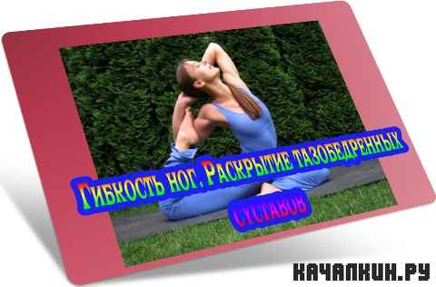 �������� ���. ��������� ������������� �������� (2012) DVDRip