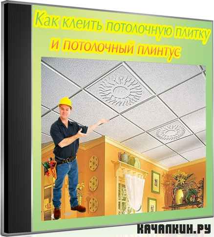 ��� ������ ���������� ������ � ���������� ������� (2012) DVDRip