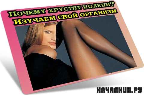 ������ ������� ������? ������� ���� �������� (2012) DVDRip