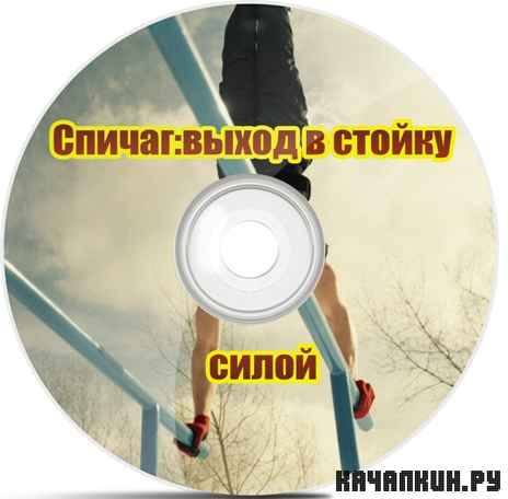 ������:����� � ������ ����� (2012) DVDRip