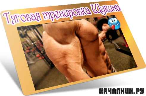 ������� ���������� ������ (2012) DVDRip