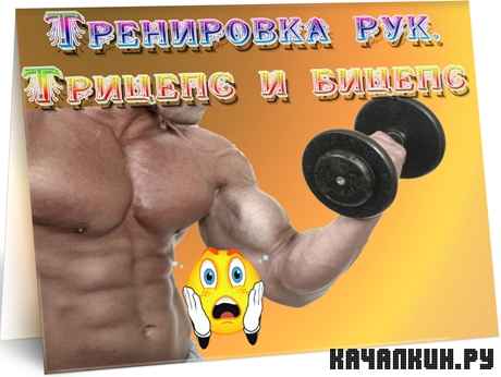 ���������� ���. ������� � ������ (2012) DVDRip