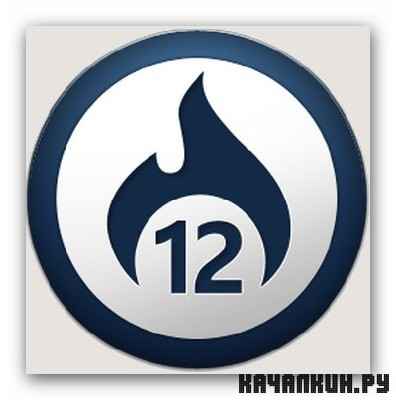 Ashampoo Burning Studio v.12 12.0.3.0 Final [Rus/Eng] RePack/Portable by D!akov