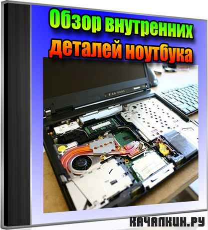 ����� ���������� ������� �������� (2012) DVDRip