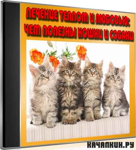 ������� ������ � �������: ��� ������� ����� � ������ (2012) DVDRip