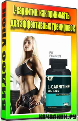 L-��������: ��� ��������� ��� ����������� ���������� (2012) DVDRip