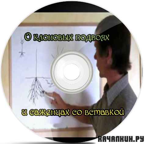 � �������� ������� � �������� �� �������� (2012) DVDRip