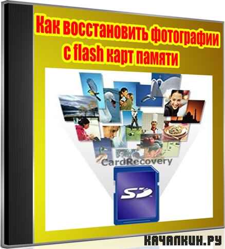     flash   (2012) DVDRip