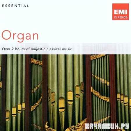 Essential Organ (2011)
