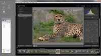 Adobe Photoshop Lightroom. ������ ���� (����������)