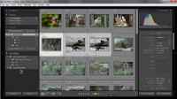 Adobe Photoshop Lightroom. ������ ���� (����������)