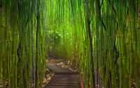 Excellent Wallpapers - ���� �� ������� ���� - Release 121