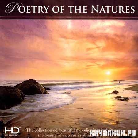 Blue Seas Grand Orchestra - Poetry of The Natures (2013)