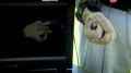 BBC. ��������. ����� �� ��������� ������������? / BBC. Horizon. Out of Control? (2012) SATRip
