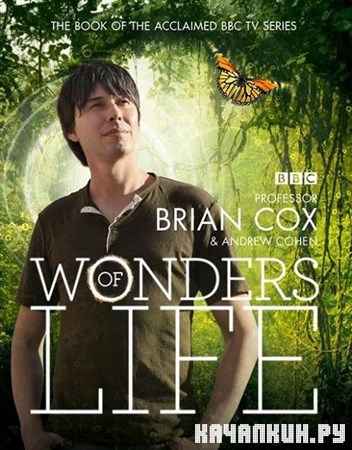 ������ ����� / BBC: Wonders of Life (2013) BDRip