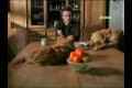 ������: ����������� �� ������������ / Dogs � A Horizon Guide (2012) TVRip