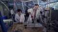 Discovery: ����� � �������. �������� ����� / Sci-Trek. Bolts Of Fire (2009) HDTVRip