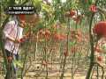 ��� ������ - � ��� ���� �����������? (01.07.2013) SATRip