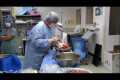 N.G. Inside. �������� �������� / N.G. Inside. The Body Trade (2009) TVRip