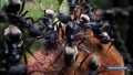 �������: ������ ���� ������� / Ants: Natures secret power (2005) HDTVRip