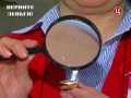 ��� ������ - ������� ������ (22.07.2013) SATRip