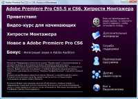��������� Adobe Premiere Pro CS5.5 � CS6. �������� ��������� (2013)
