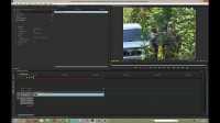Adobe Creative Suite - ������ ����������� ������ � ����� (2013) ���������